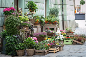 La boutique Flower