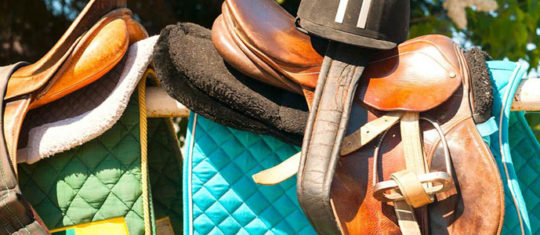 Acheter ses accessoires d'équitation sur les ventes privées