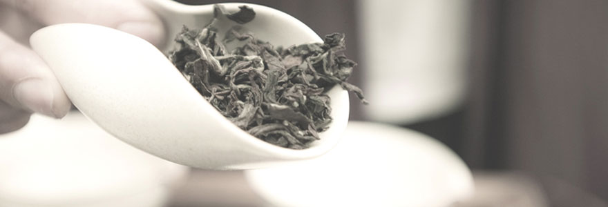 Le thé noir Earl Grey