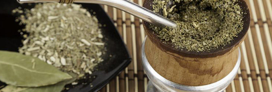 Conseils pour trouver un cadeau à offrir à un écolo