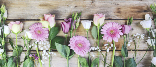 fleurs de naissance